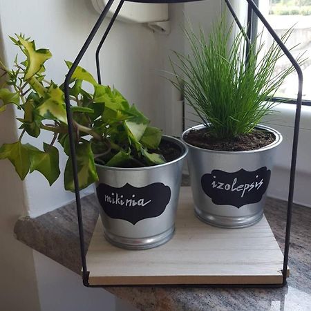 Apartment Greenhouse Опатия Экстерьер фото
